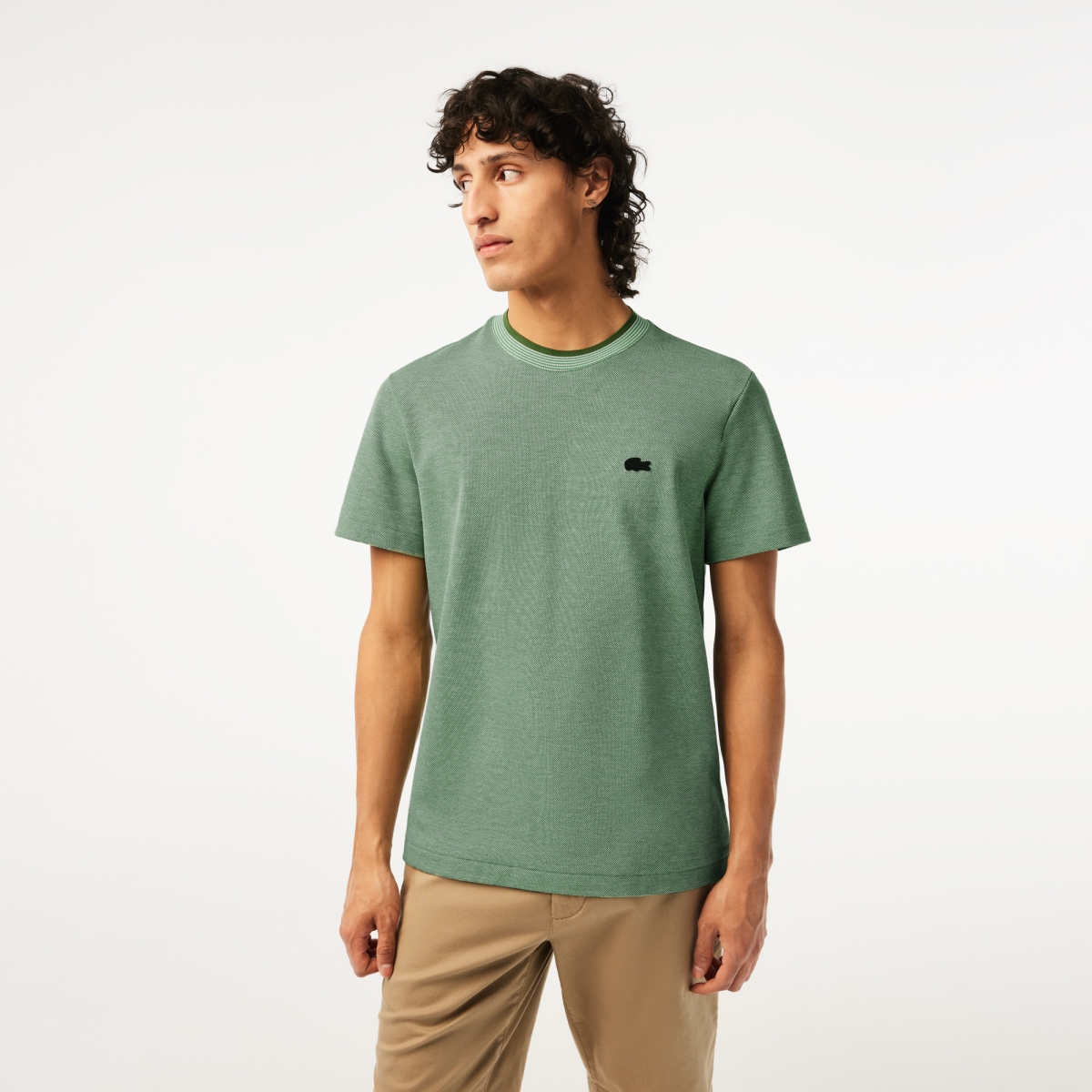 lacoste t shirt man