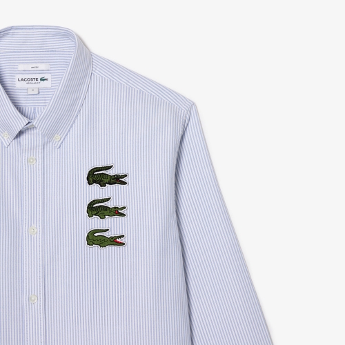 Striped Crocodile Badge Oxford Shirt